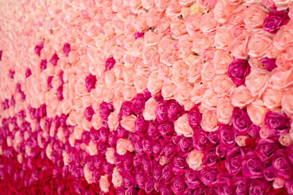 Blumenwand Pink Ombré