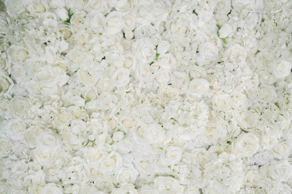 Blumenwand Weiß, Pearl White Nahaufname